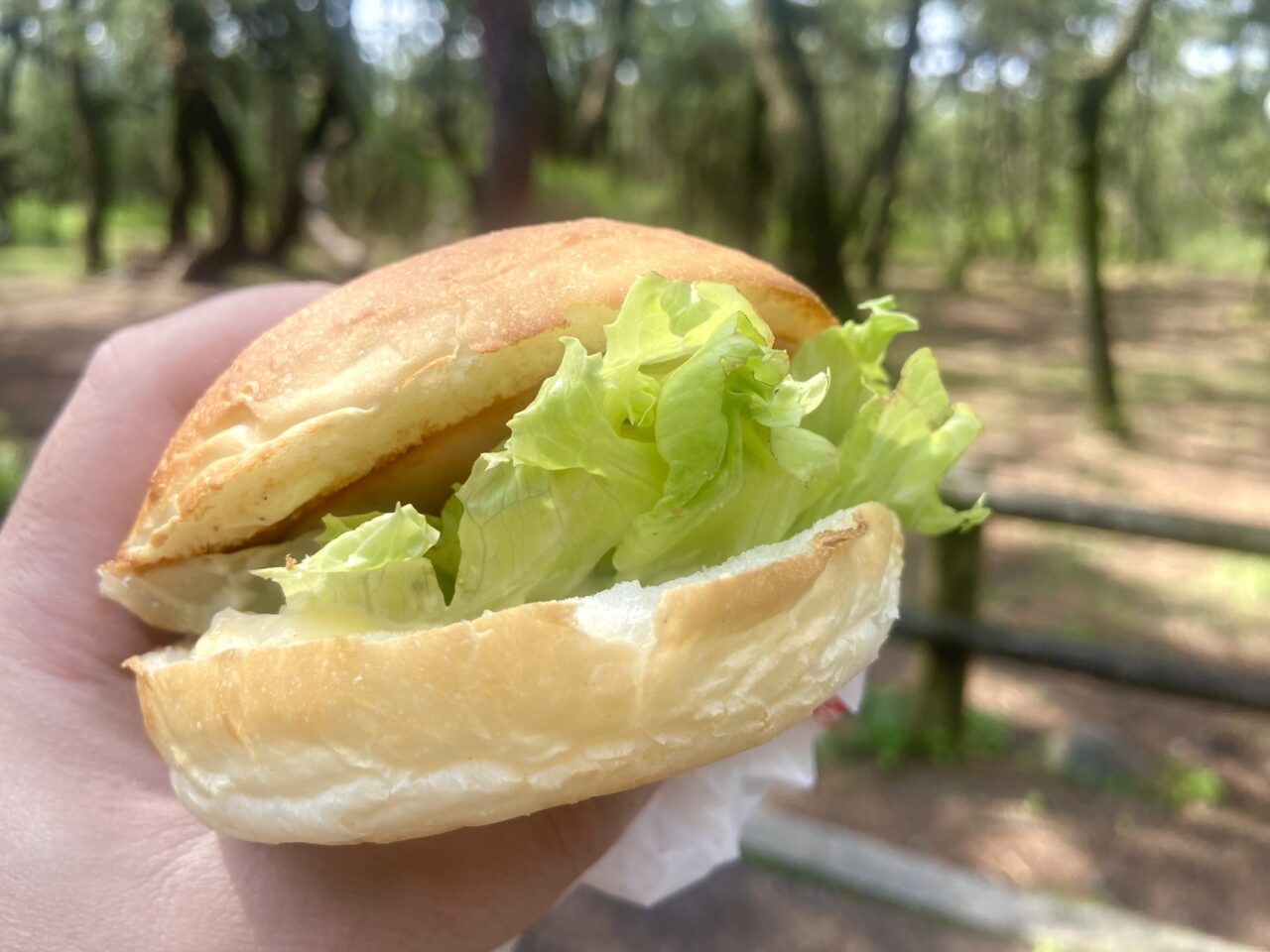 佐賀県 唐津市虹の松原にあるバイカーに人気のハンバーガー！【からつハンバーガーとコーヒーの店】